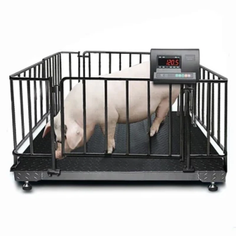 High-Accuacy-1000kg-Digital-Cattle-Livestock-Weighing-Scale-for-Pig